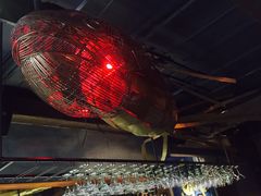 大堂-Luchador摔跤手墨西哥餐厅(恒宇广场店)