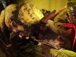 -恐龙探索乐园(磁器口店)