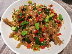 鸭掌筋-壹盏灯(惠农店)