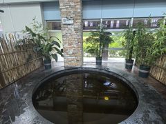 -白桦林温泉谷