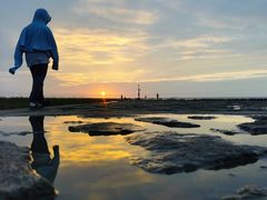 -南汇嘴观海公园