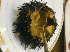 -红叶日料·放题·海胆·定食(星海店)