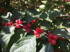 -长春公园(普阳街道)