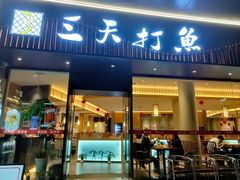 -三天打鱼(奥体店)