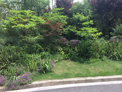 iphone_upload_pic-成都保利公园皇冠假日酒店(熊猫基地店)