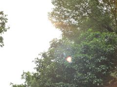-杭州花家山庄