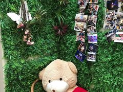 -WithU悠弦时光·尤克里里之家ukulele(宽窄巷子店)