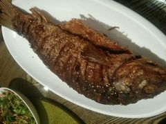 -大闫家烧烤·小海鲜家常菜(郑庄店)