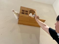 -藏猫猫咖啡主题馆(中央大道店)