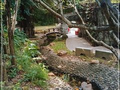 -深圳国际园林花卉博览园