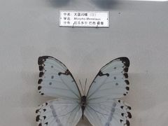 -郑州自然博物馆(惠济区)