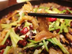 -老板恋上鱼(荣盛广场店)