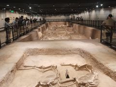 -洛阳周王城天子驾六博物馆