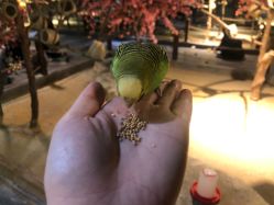 -酷嗒动物文化乐园(cutezoo西溪乐天城店)