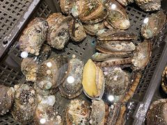 -海鲜e族(马王堆店)