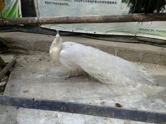 android_upload_pic-迎泽公园