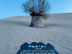 -鸣沙山月牙泉风景名胜区