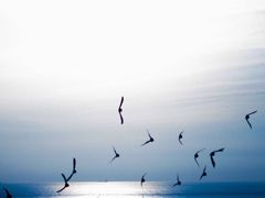 -白沙门生态公园