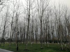 -府河摄影公园