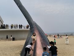 -烟台海昌鲸鲨海洋公园