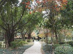 -南宁南湖公园