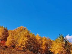 -塞罕坝国家级自然保护区