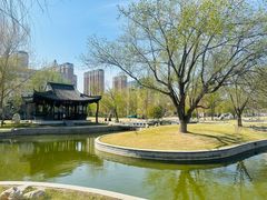 -东北农业大学饺子园