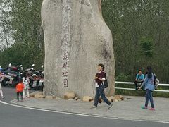 -合肥滨湖国家森林公园