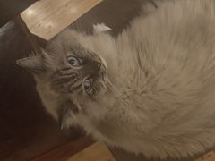 -剧狐剧本杀·月球探案馆(人民广场1号店)