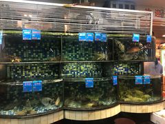 -揭阳钟记小食(福田新村店)