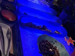 -长沙三景韦尔斯利酒店·Oval全日制餐厅自助餐