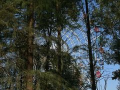 -洋湖国家湿地公园