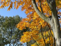 -黄陂区野村谷景区