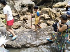 -华蓥山天意谷景区