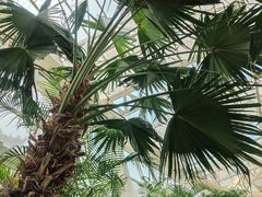 -石家庄市植物园