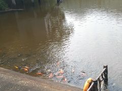 -滴水岩森林公园