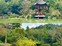 -云溪植物园
