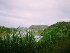 -蔡伦竹海