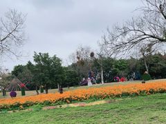 -松山湖梦幻百花洲