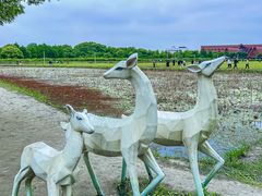 -广富林郊野公园