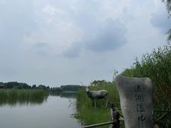 -溱湖国家湿地公园