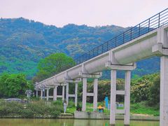 -风云岭森林公园