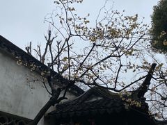 -拙政园