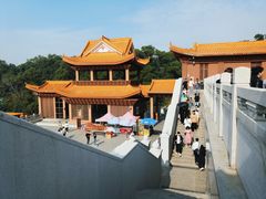 -深圳仙湖植物园