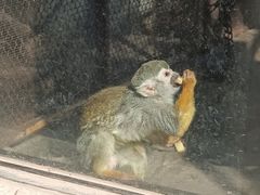 -昆明动物园