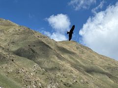 -新疆那拉提国家旅游度假区
