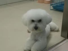 -佳雯宠物医院(金华南路分院)