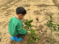 -广东花都香草世界旅游度假区