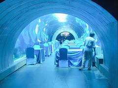 -海棠湾洲际-涛·海底餐厅·美人鱼·自助餐·海底隧道