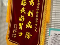 -美迦爱动物医院·夜诊(朝阳路诊疗中心)
